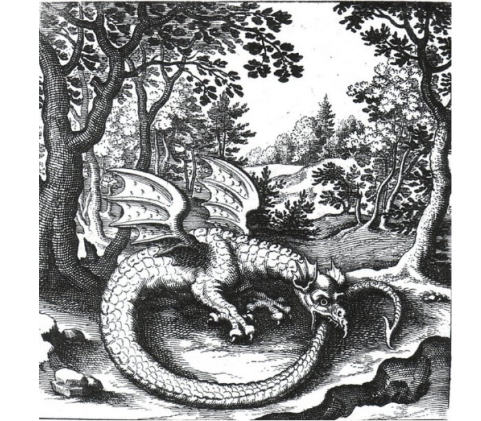 Engraving of a wyvern-type ouroboros by Lucas Jennis, in the 1625 alchemical tract De Lapide Philosophico. The figure serves as a symbol for mercury.