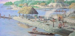 Calusa Indians used hundreds of millions of shells.