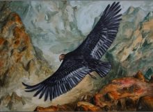 The Condor is also an important Native American symbol. Image credit: White Wolf Pack