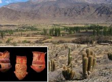 Pre-Inca Societies In The Andes Lacked Hierarchical Leadership And Shared Power Before The Incas Arrived