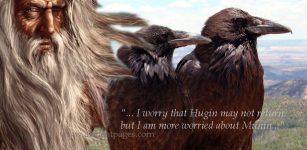 Odin with ravens Hugin and Munin