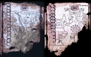 Grolier Codex Oldest, Unique, Genuine PreColumbian Maya Manuscript