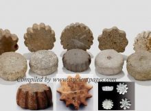 Cog Stones – Unusual Stone Discs Made By An Ancient Lost Civilization In California