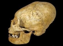 Ancient Cranial Modification In Peru Led To Social Inequality