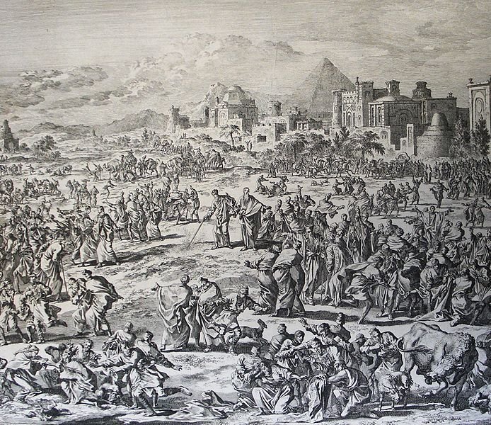 Insects during the Exodus