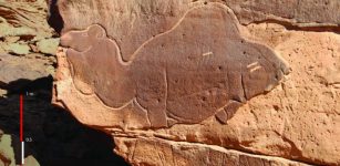 Huge Ancient Animal Sculptures Made By Unknown Carvers At Camel Site In Saudi Arabia Puzzle Archaeologists