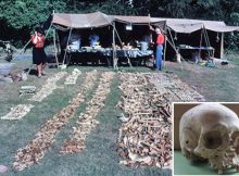 Viking Age Mass Grave Reveals Gruesome Discovery