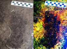13,000-Year-Old Human Footprints Discovered In Canada