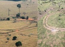 Discovery Of Fortified Villages And Earthworks Re-Writes Ancient History Of Amazon