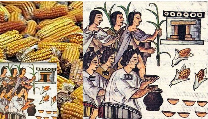 Maize Aztec Symbol