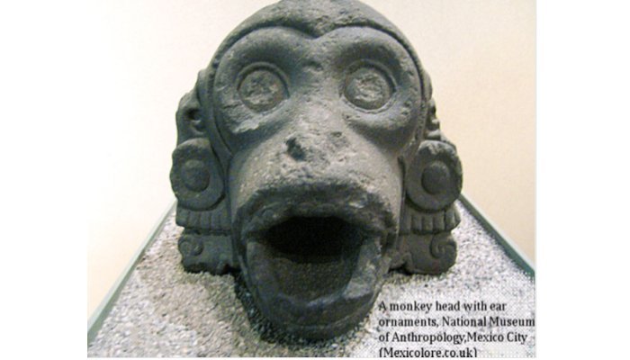 Monkey Aztec Symbol