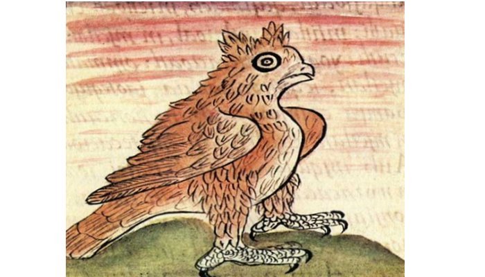 Owl Aztec Symbol