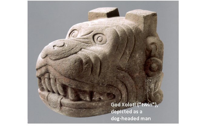 Dog Aztec Symbol