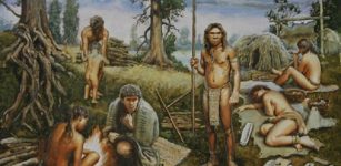 Humans Started Wearing Clothes 100,000 To 500,000 Years Ago