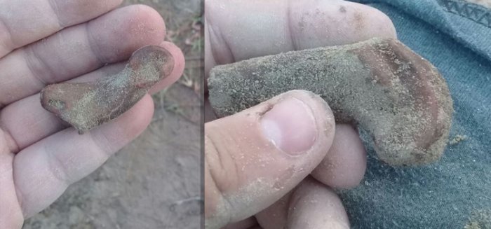 Remains Of A Giant Bear From The Late Pleistocene Found In Buenos Aires