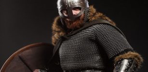 Hird – Viking Warriors And Professional Body Guards Prepared To Die For Their Leader