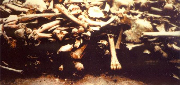 Viking Ivar The Boneless Could Be Buried In Repton – Remarkable Viking  Burial Holds Clues To Where Ragnar Lodbrok's Son Died - Ancient Pages
