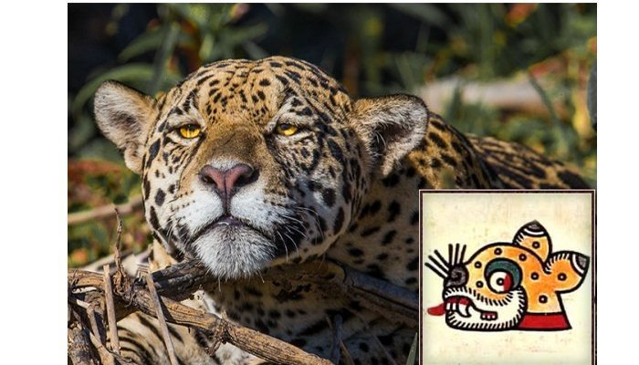Jaguar Aztec Symbol