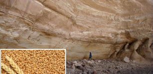 10,000-Year-Old Seeds - First-Known Evidence Of Farming In Sahara