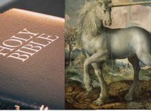 The Unicorn In The Bible Was An Oryx - Ancient Translation Mistake