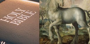 The Unicorn In The Bible Was An Oryx - Ancient Translation Mistake