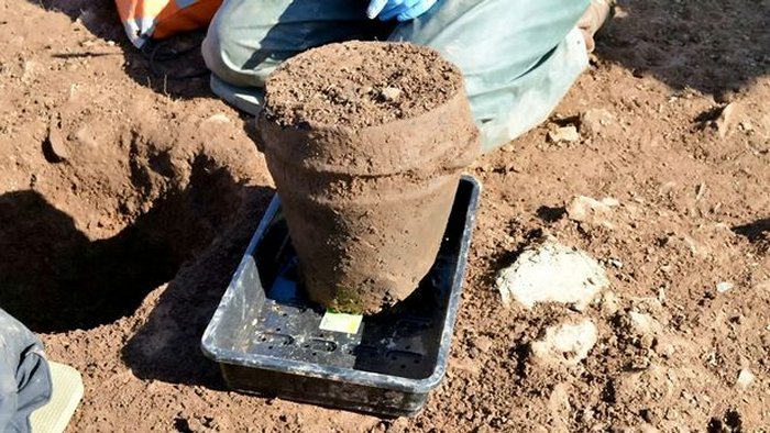 The dig underway at Hendersick Barrow in SE Cornwall. Image credit: cornwalllive.com