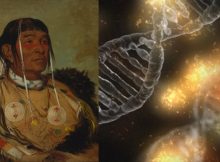 DNA Study Reveals 250 Siberians Became The First Native American Population