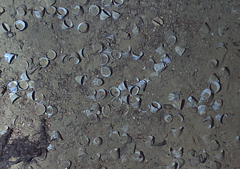 Tea cups at the wreck site. (REMUS image, Woods Hole Oceanographic Institution)