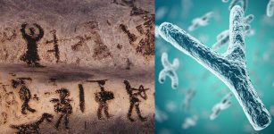 Puzzling Biological Event 7,000 Years Ago