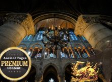 Hidden Face Of The Elusive Master