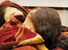 Chilean Mummies Clad In Red Poison Dresses – Evidence Of A Unique Inca Ritual
