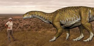 Oldest Giant Dinosaur Species Discovered In Argentina