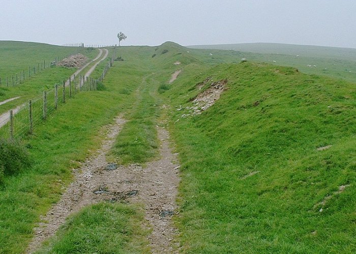 A fragment of Offa's Wall .