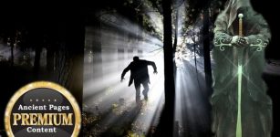 Danger Lurking In The Woods – Mysterious Vanishings, Deaths And Unusual Behavior – Part 3