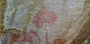 The red paintings are older, made by hunters and gatherers, perhaps even several thousand years ago. The white ones are from several hundred to several dozen years old. Image credit: M. Grzelczyk via Science in Poland