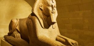 New Large Sphinx Still Embedded In Soil Discovered In Luxor, Egypt