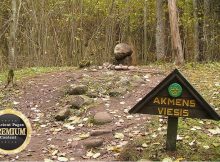 Is Mysterious Pokaini Forest An Ancient Healing Center And Anomalous Zone?