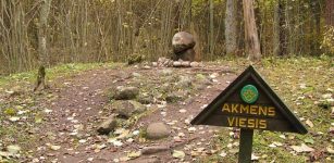 Is Mysterious Pokaini Forest An Ancient Healing Center And Anomalous Zone?