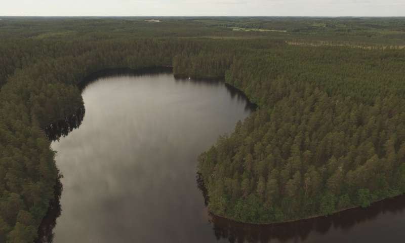 Stone Age Settlement Discovered Underwater In Finland