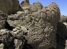 The oldest dates calculated for the Winnemucca Lake petroglyph site correspond with the time frame linked to several pieces of fossilized human excrement found in a cave in Oregon.