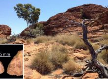 Evidence People Lived In Australian Desert 50,000 Years Earlier Than Previously Thought