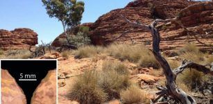 Evidence People Lived In Australian Desert 50,000 Years Earlier Than Previously Thought