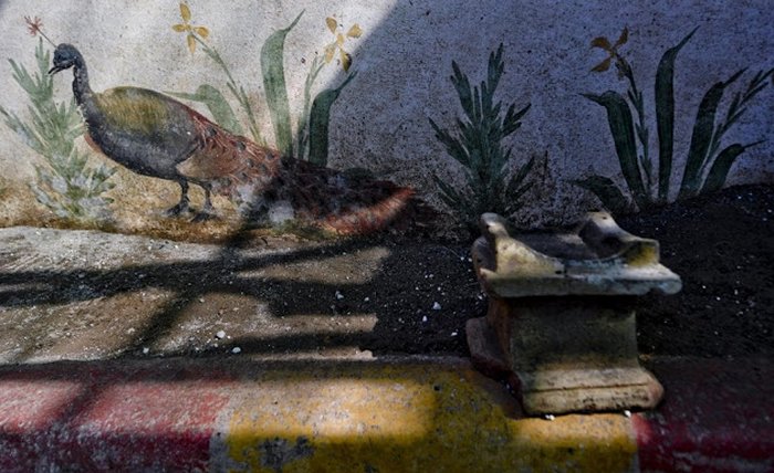 pompeii garden