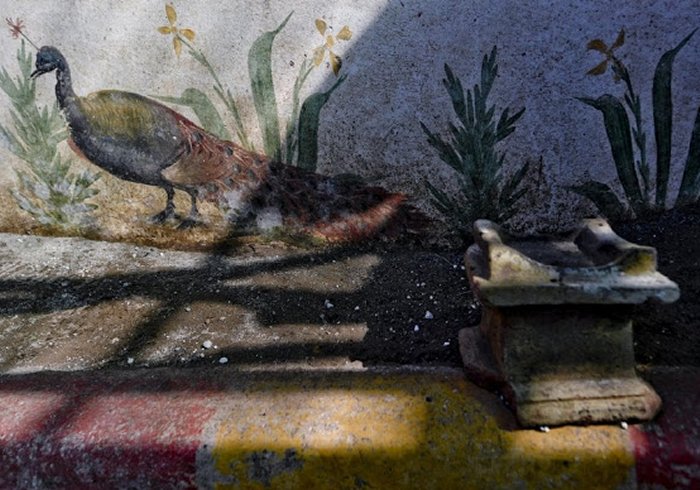 pompeii garden