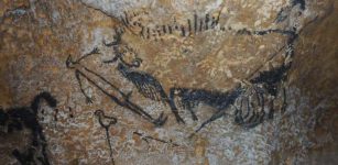 Some of the world's oldest cave paintings have revealed how ancient people had relatively advanced knowledge of astronomy. Animal symbols represent star constellations in the night sky, and are used to mark dates and events such as comet strikes, analysis from the University of Edinburgh suggests. Credit: Alistair Coombs