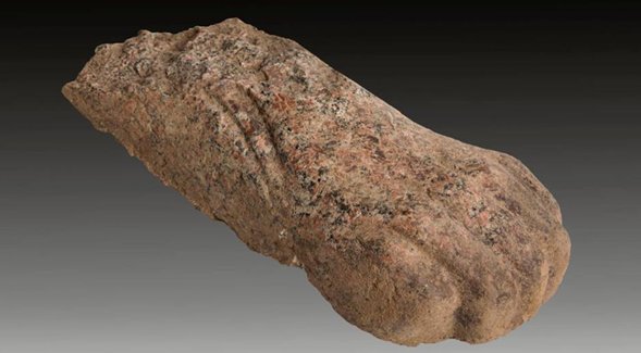 Findings in Matariya, CAiro, Egypt