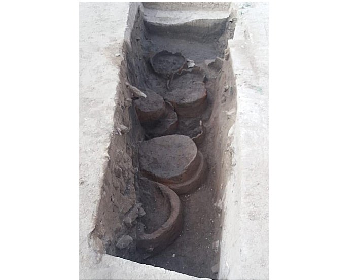 Findings in Matariya, CAiro, Egypt