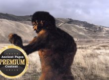 When Giants Ruled North America - Giant Skeletons 'Erased' From History - Part 2