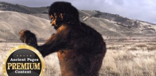 When Giants Ruled North America - Giant Skeletons 'Erased' From History - Part 2