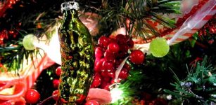 christmas cucumber